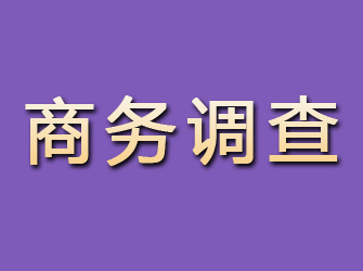 灞桥商务调查